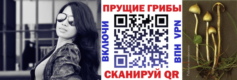 Псилоцибиновые грибы мухоморы  Чита 